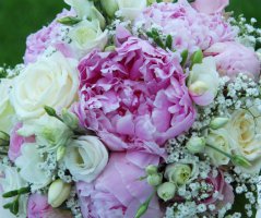 Svatba na zámku Chateau St. Havel