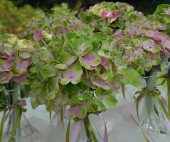 Svatba netradičně v černém