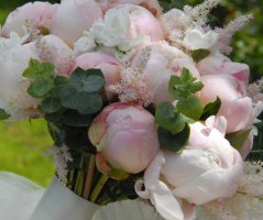 Japonská zahrada v Troji