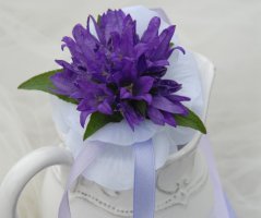 Svatba v hotelu Čertousy