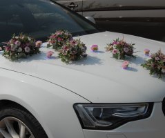 Svatba v Horse Parku