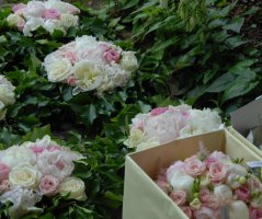 Svatba v Martinickém paláci