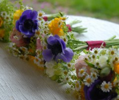 V penzionu "V polích"