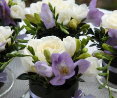 Zimní svatba na zámečku Roztoky