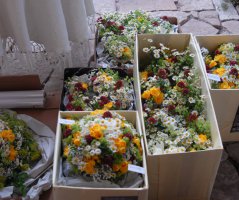 Luční svatba v Grébovce