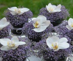 Svatba ve fialových tonech