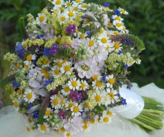 Svatba na lodi Rohan Boat Prague