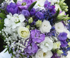 Svatba na zámku Veltrusy