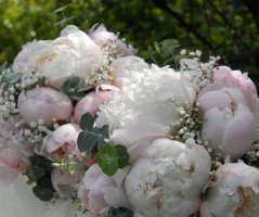 Japonská zahrada v Troji