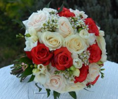 Svatba v barvě korálu