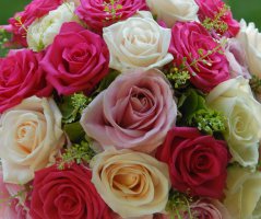 Svatba v restauraci Altány Kampa