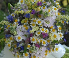 Svatba na lodi Rohan Boat Prague