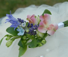 Luční svatba ve Dvoře Hoffmeister