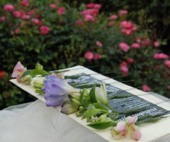 Luční svatba ve Dvoře Hoffmeister