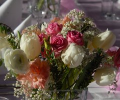 Pavilon Grébovka s unikátní historickou vinicí