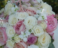 Svatba na Dobříšském zámku