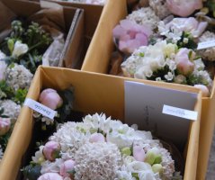 Bledě růžová svatba