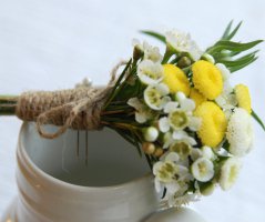 Letní svatba na louce