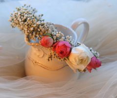 Pavilon Grébovka s unikátní historickou vinicí