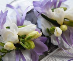 Zimní svatba na zámečku Roztoky