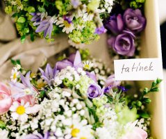 Svatba na zámku Čechtice