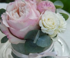 Svatba na Dobříšském zámku