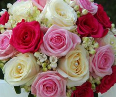 Romantika v St.Havel