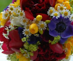 V penzionu "V polích"