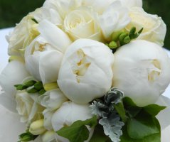 Svatba v Martinickém paláci