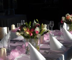 Pavilon Grébovka s unikátní historickou vinicí