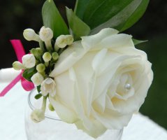 Romantika v St.Havel