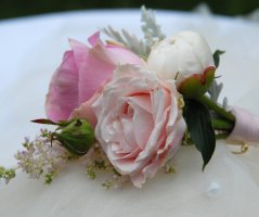 Svatba v Martinickém paláci