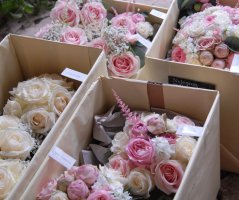 Svatba na Dobříšském zámku