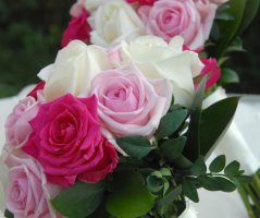 Romantika v St.Havel