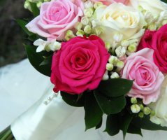 Romantika v St.Havel