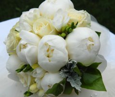 Svatba v Martinickém paláci