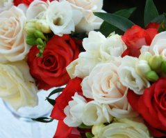 Svatba v barvě korálu