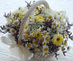 Svatba v Yard resortu