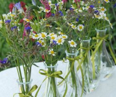 Svatba na lodi Rohan Boat Prague