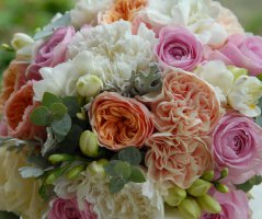 Svatba na Vyšehradě