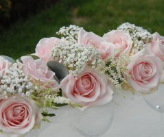 Svatba na Dobříšském zámku