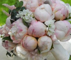 Japonská zahrada v Troji