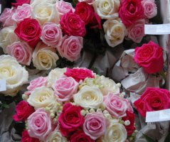 Romantika v St.Havel