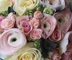 Villa Richter - Praha