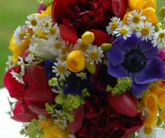 V penzionu "V polích"