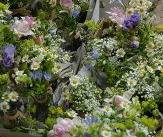 Svatba na zámku Čechtice