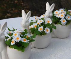 Jaro 2019 - dekorace