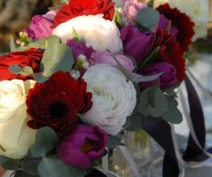 Vánoční svatba v Průhonicích