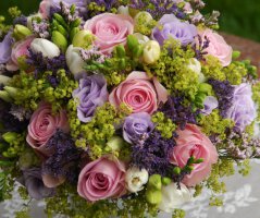 Svatba v Červeném Újezdě