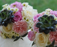 Svatba v Penzionu v polích